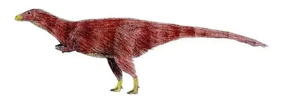 Learn some interesting Achillesaurus facts!