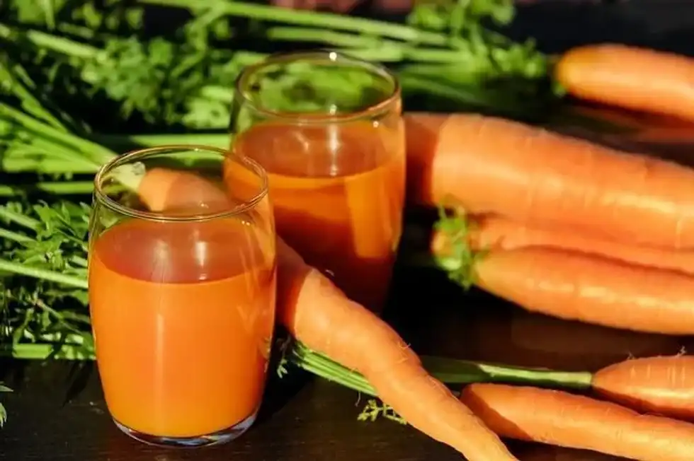 Learn some interesting can turtles eat carrots facts with us today!
