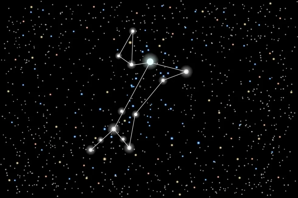 Learn some interesting Canis Major facts with us today!