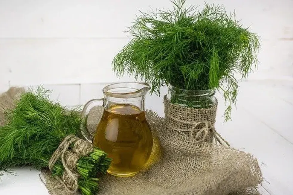 41 Dill Facts You Have To Know About The Widely-Used Herb