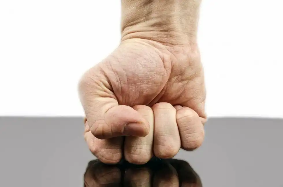 Learn some interesting facts about balanced forces with us today!