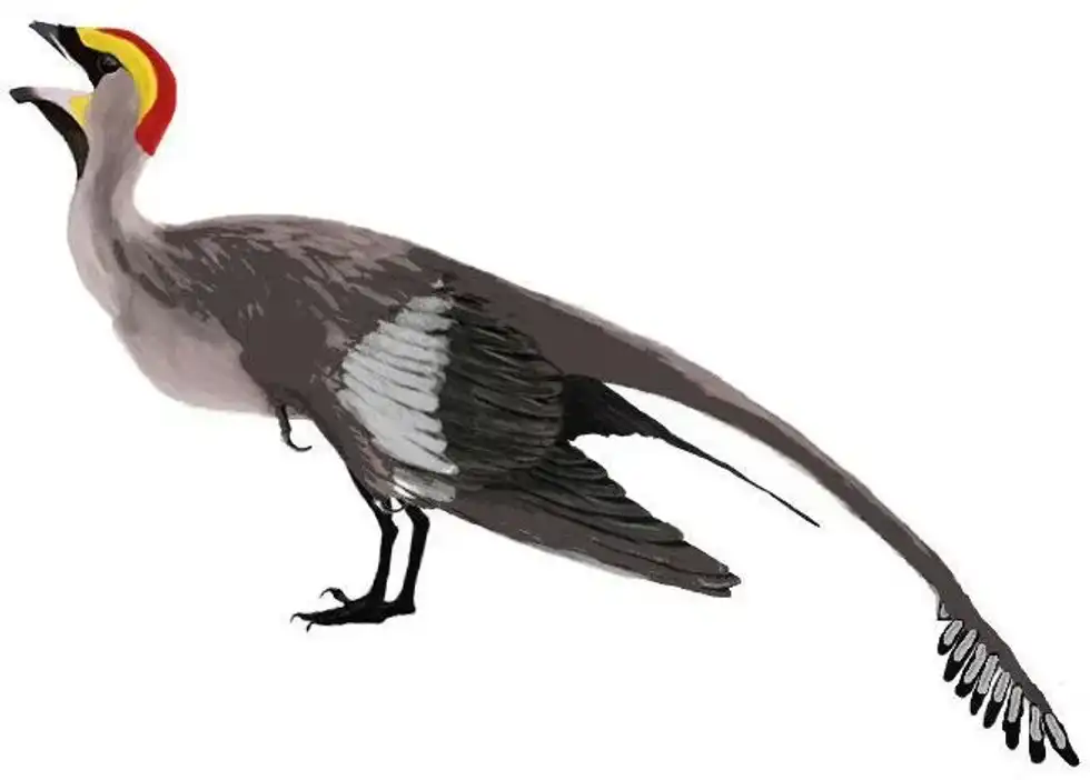 Learn some mind-blowing Jeholornis facts!