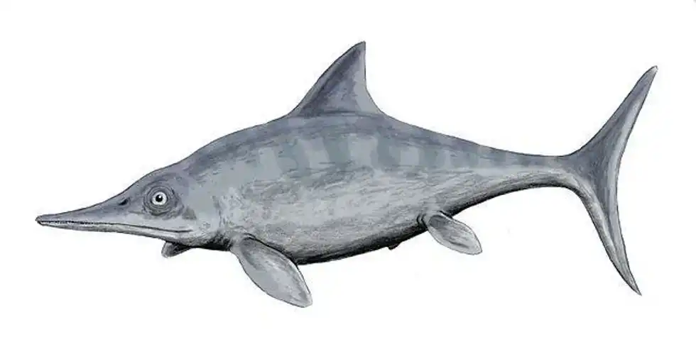 Learn the most enthralling 21 Ophthalmosaurus facts for kids and family.