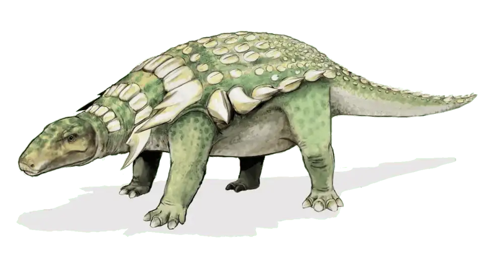 Leptorhynchos facts are interesting.