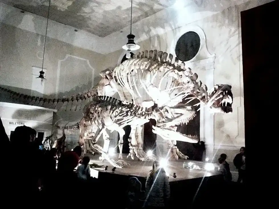 Lessemsaurus facts are interesting.