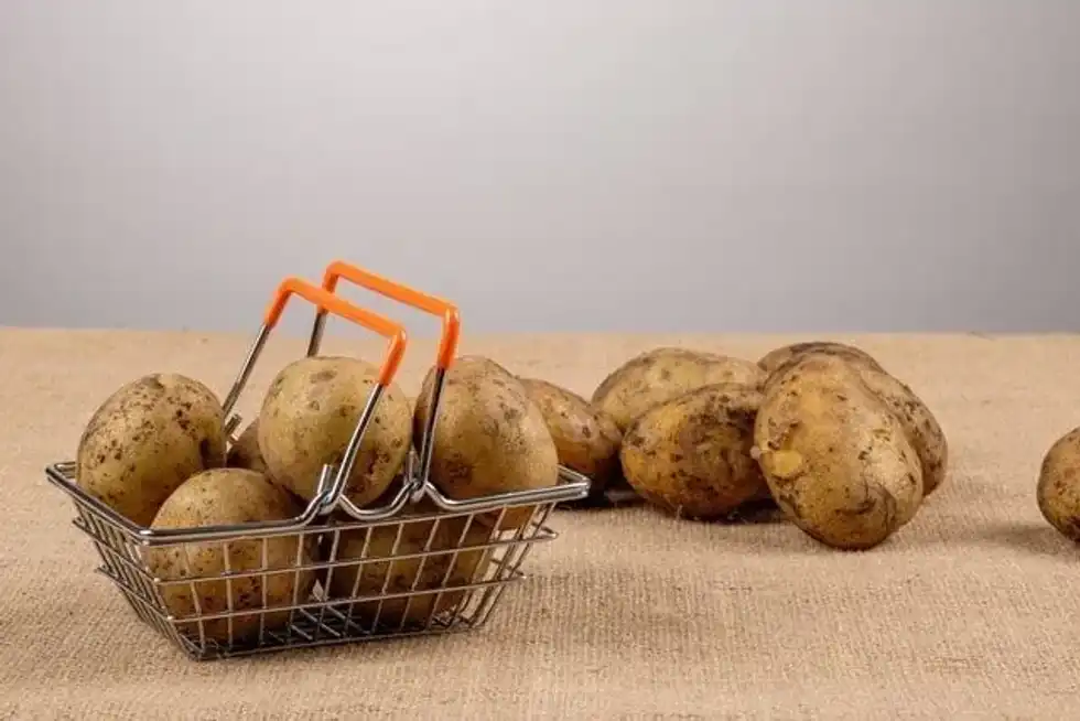 Let's learn some amazing potato facts.