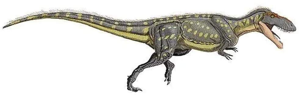 Let's read some fun and interesting Edmarka facts about the genus of Theropod dinosaur that lived during the middle and late Jurassic epochs.