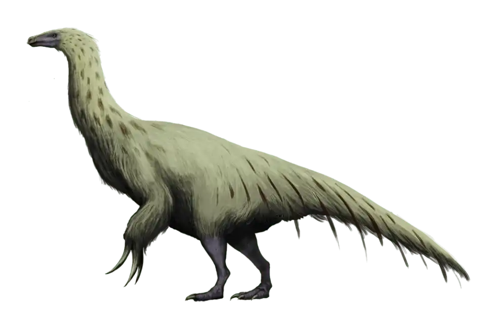 Let us head straight to these lovely and thrilling Therizinosaurus facts!