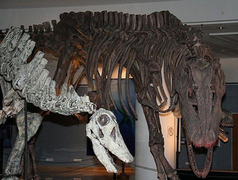 Limaysaurus facts are amusing!