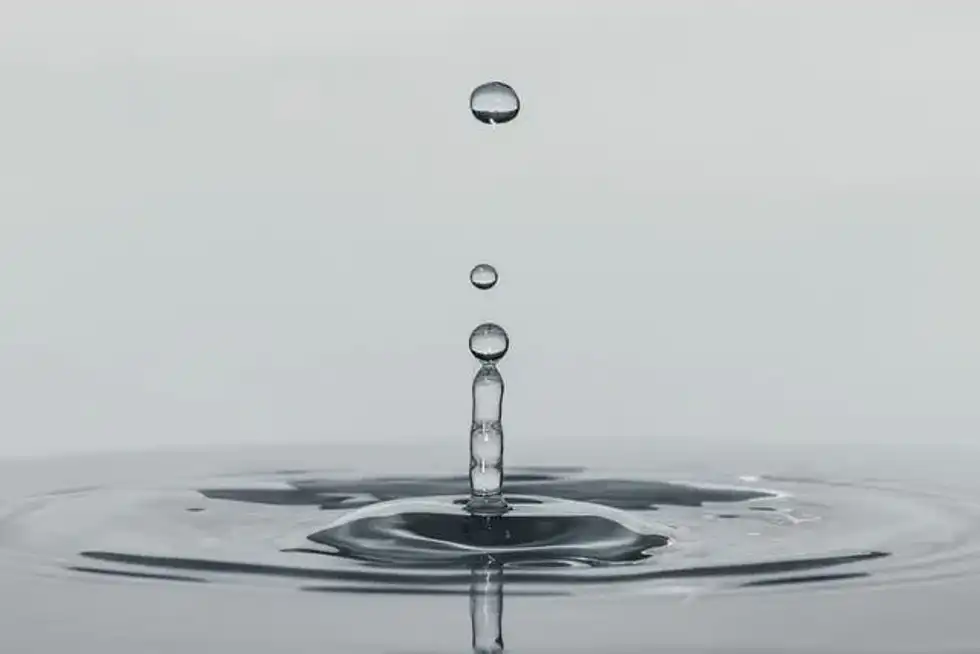 Liquid facts will quench your thirst for knowledge!