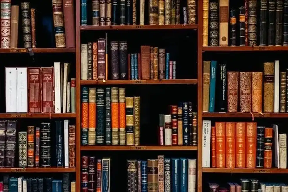 Literature Facts talk about novels like 'Little Women' and 'Charlie And The Chocolate Factory.'