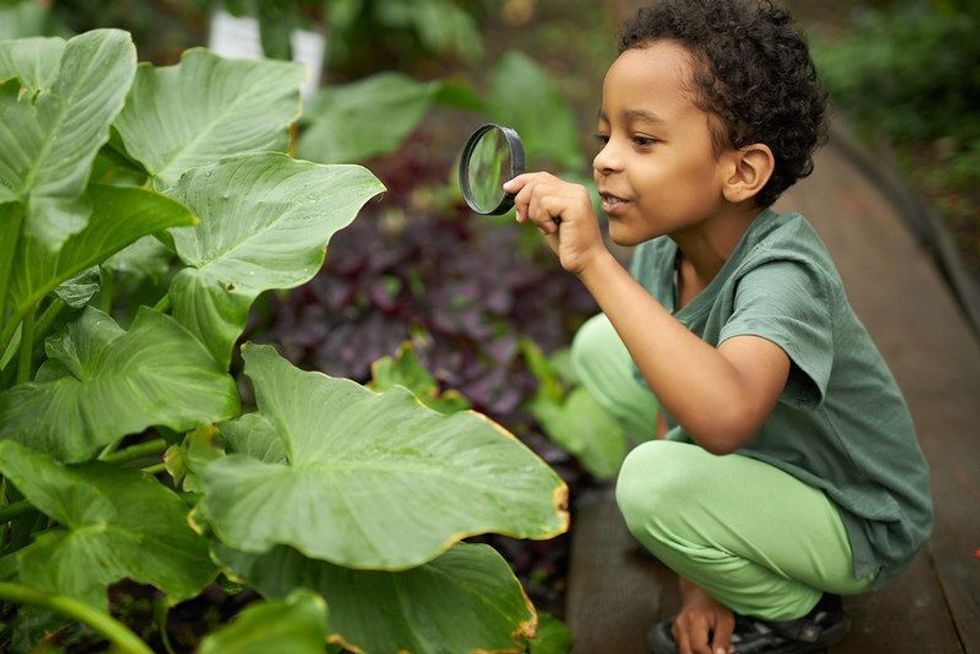 Little African American kid boy look at plant using magnifier