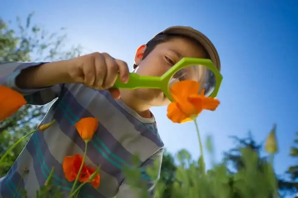 Little boy on a garden scavenger hunt looking for bugs with a magnifying glass.