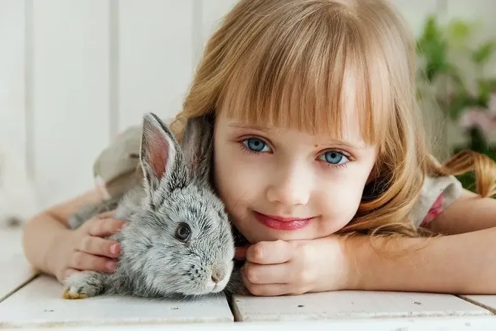 Little girl lying on her stomach on a white wooden floor with a grey bunny in her arms.