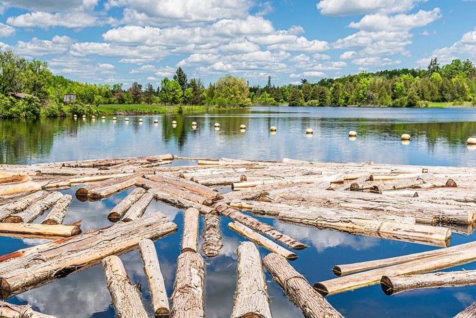 Looking at boats makes one wonder, does all wood float?