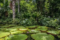 Looking for some scientific inspiration for your kids' names? Then take a look at these botanist names.