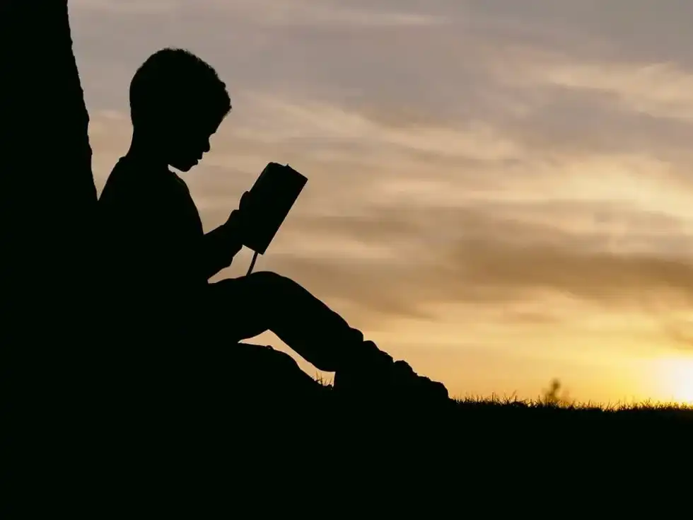 'Lord Of The Flies' quotes with page numbers are highly sought after by students of English literature around the world.