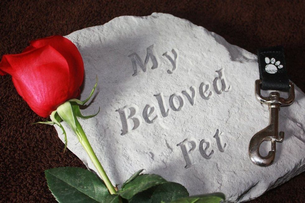 Loss of a Pet.