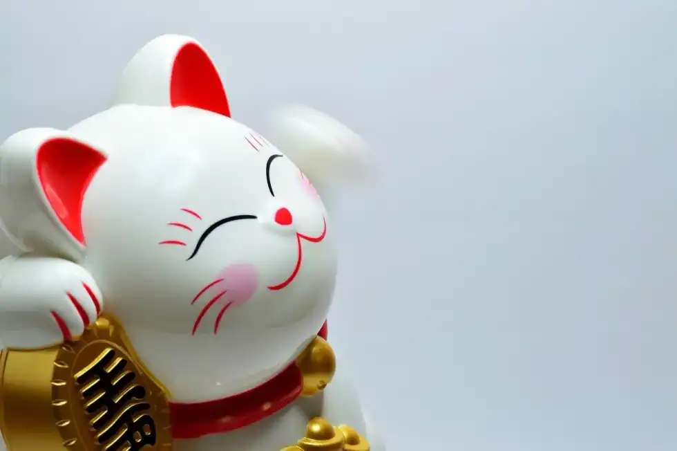 Lucky charm white japanese cat
