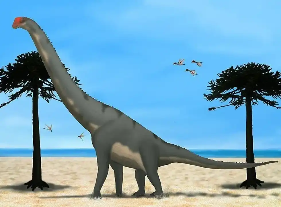 Lusotitan facts include that its remains consisted of vertebrae and limb bones but lacked a skull.