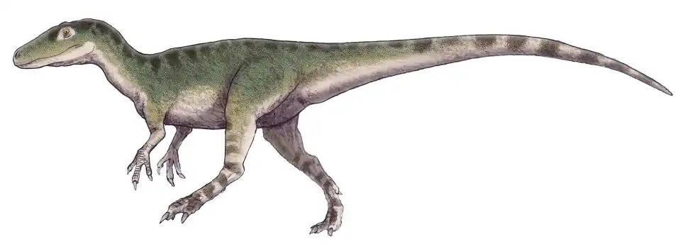 Magnosaurus facts are great for kids.