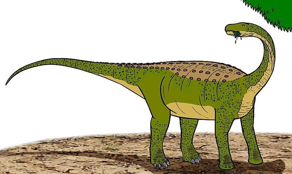 Magyarosaurus facts are about a dinosaur from Romania.