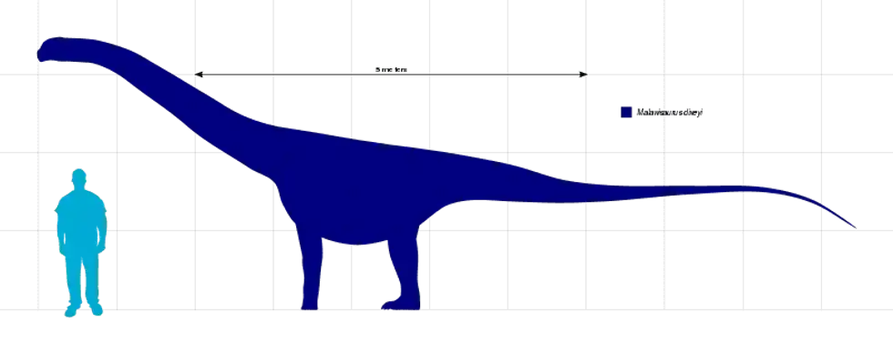 Malawisaurus dinosaurs are titanosaurs had long necks like giraffes. Read on to discover more interesting Malawisaurus facts that you're sure to love!