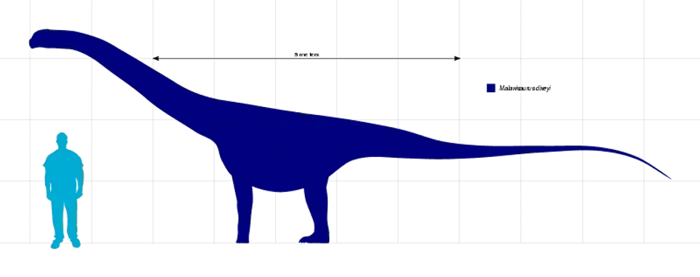 Malawisaurus dinosaurs are titanosaurs had long necks like giraffes. Read on to discover more interesting Malawisaurus facts that you're sure to love!