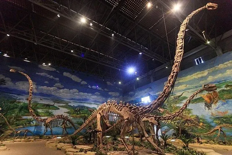 Mamenchisaurus skeleton with long neck in a museum.