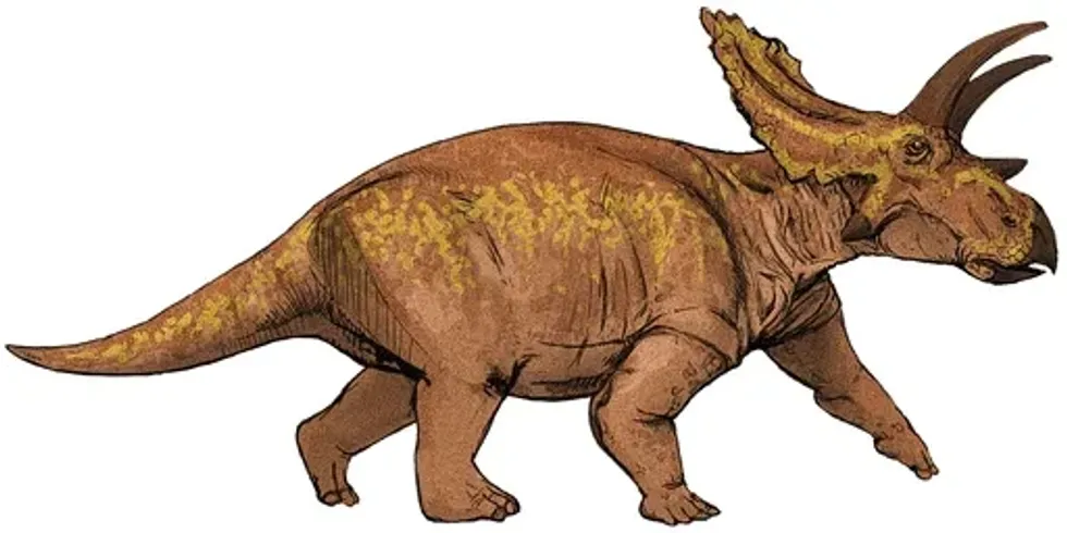 Mantellodon facts are all about a herbivore dinosaur of the Cretaceous period.