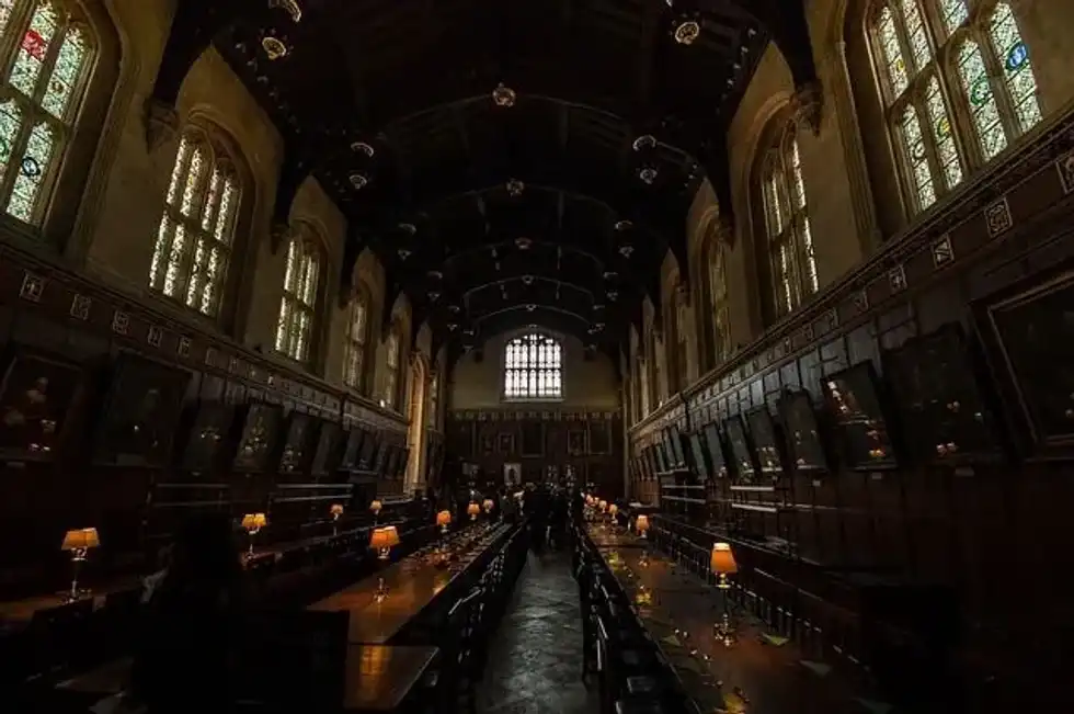 Many 'Harry Potter' fans would remind you how Severus Snape was one of the most memorable characters in the franchise.