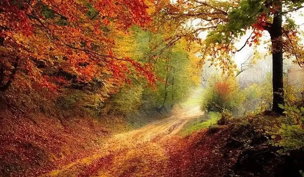 Many people often wonder why do seasons change.