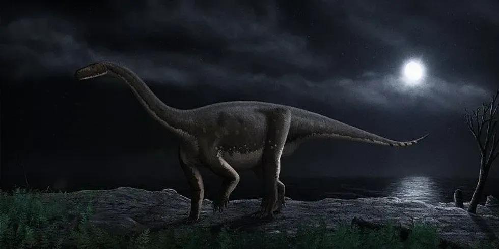 Melanorosaurus facts include that it is a rare dinosaur who lived in both the Triassic and Jurassic periods.