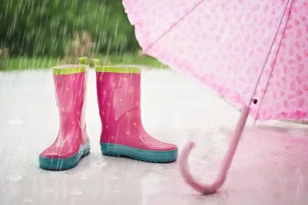 Meteorology is all about analysing and predicting the weather.