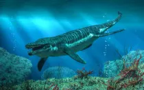 Meyerasaurus is an Extinct genus of marine reptiles that survived the Early Jurassic period alongside many dinosaurs.