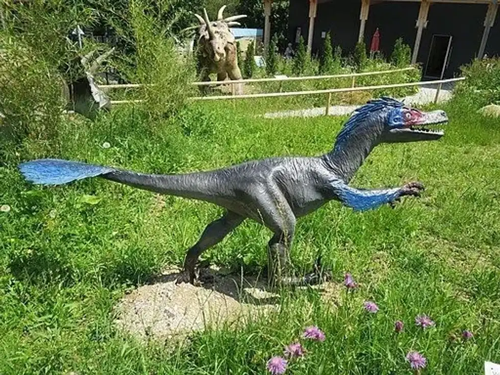 (Microraptor facts are mind-boggling!
