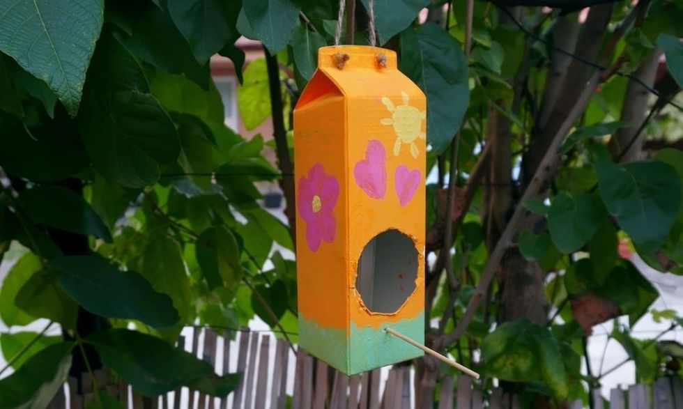 Milk Carton Bird House in a tree.