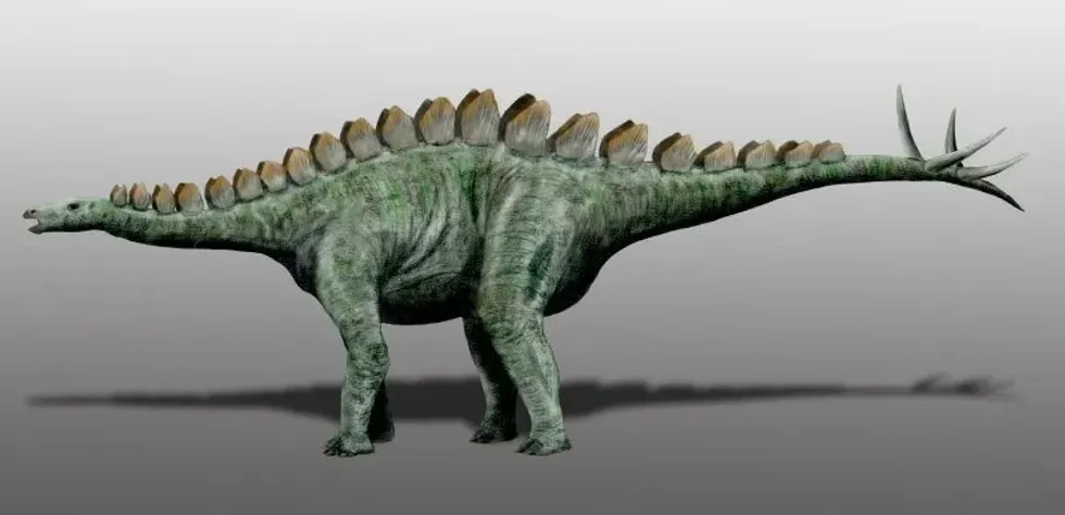 Miragaia facts are about this dinosaur with shoulder spikes.