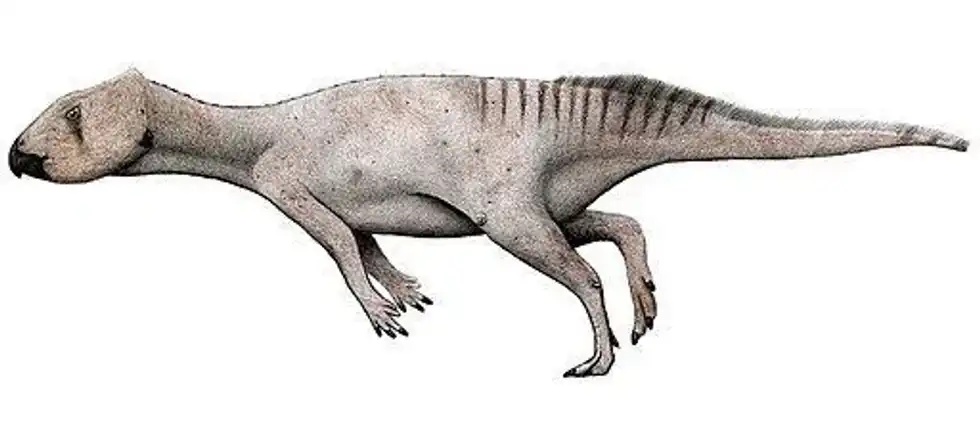 Mosaiceratops facts talk about this basal ceratopsian.