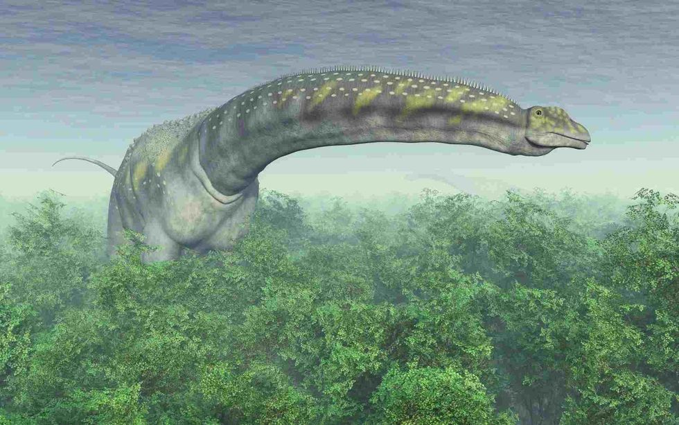 Most data that is available on this creature