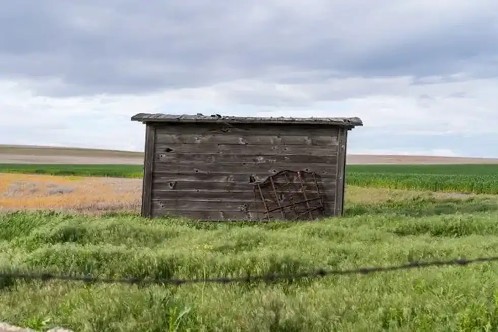 Most pioneers have an intention of farming on new land. These pioneer facts clear some air about these people.