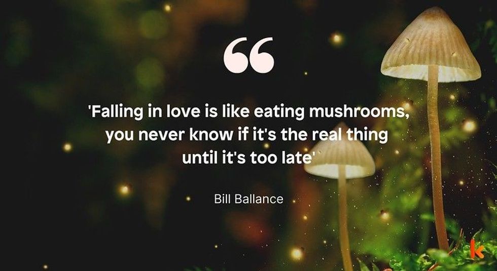 Mushrooms are not only beneficial to our health but also for environmental health. Read more thought-provoking mushroom quotes here.