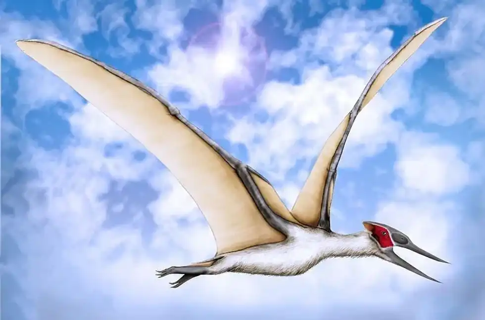 Muzquizopteryx facts are all about a flying reptile of the late Cretaceous period.