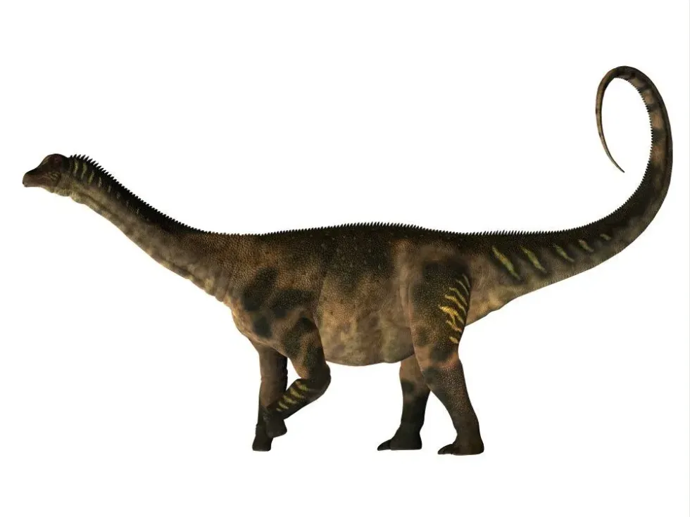 Nanosaurus facts on a small herbivorous dinosaur.