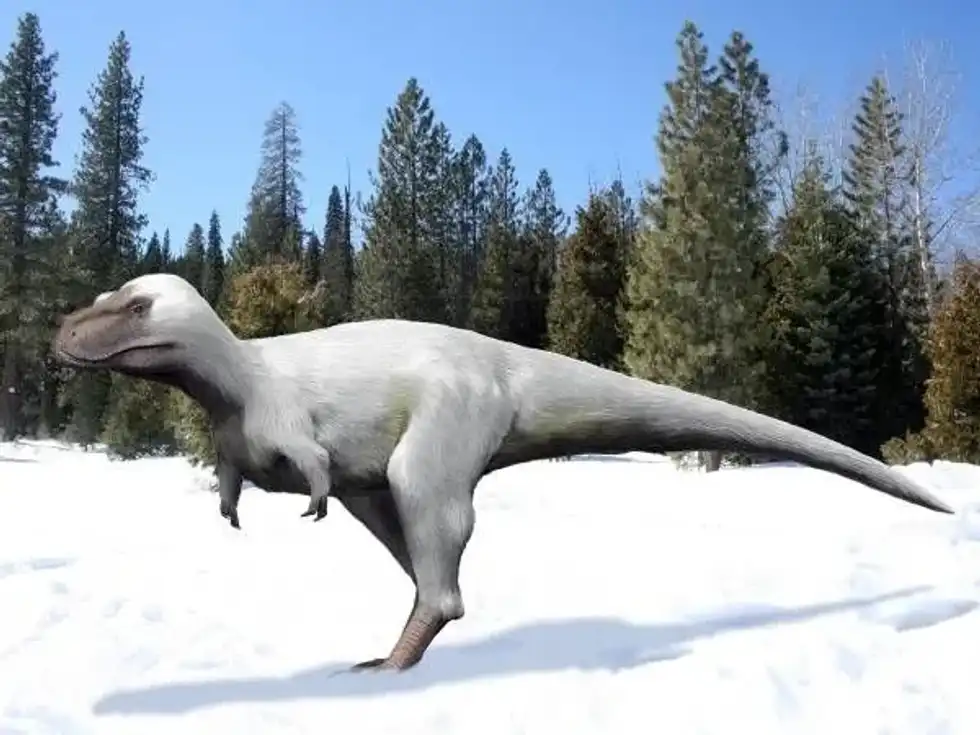 Nanuqsaurus facts like only a partial skull has been discovered are interesting!