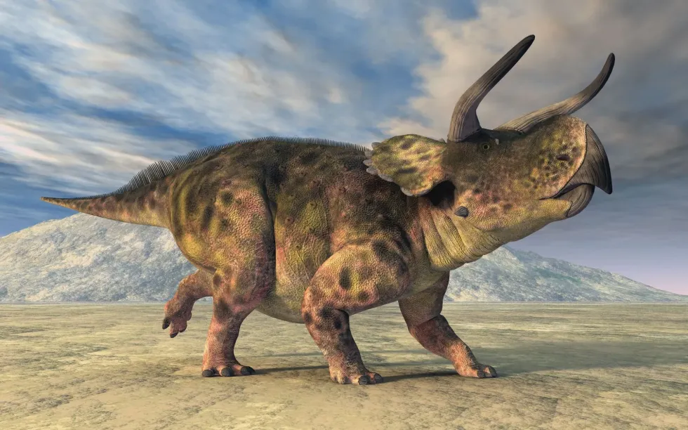 Nasutoceratops facts are amusing!