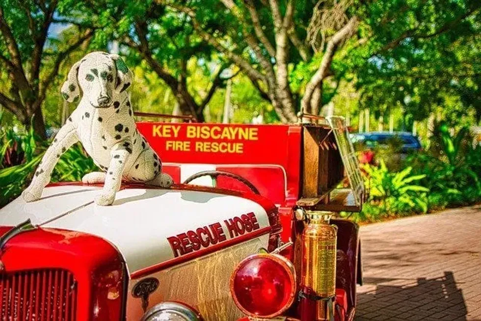 National Fire Pup Day is celebrated on October 1 every year.