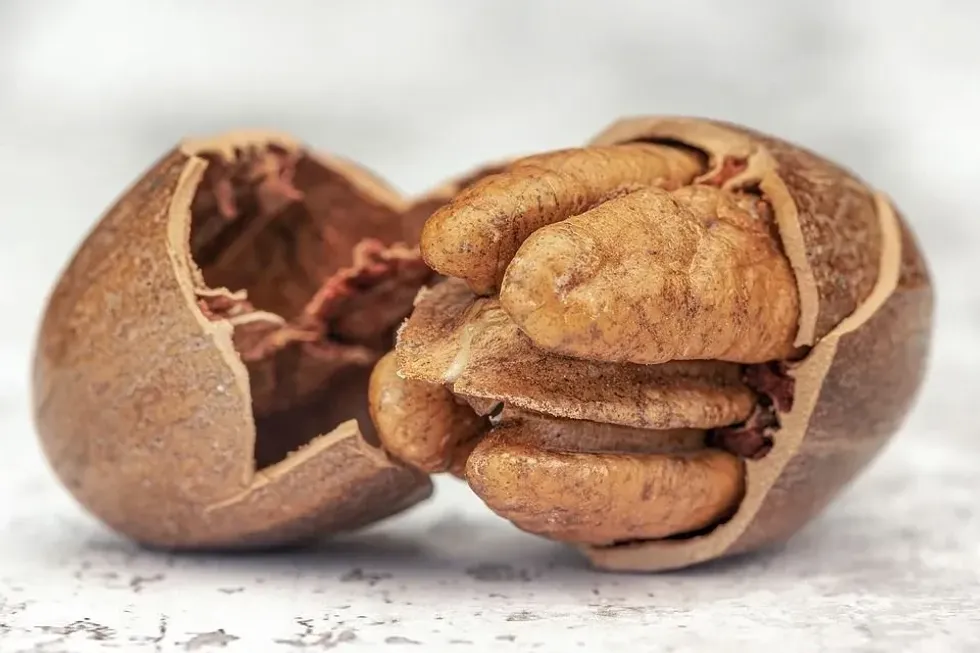 National Pecan Cookie Day is a fun day to celebrate.