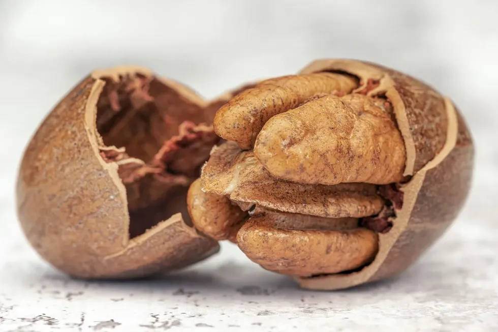 National Pecan Torte Day is recognized for people to enjoy this nut that is known to provide healthy fats.