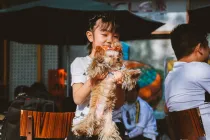 National Purebred Dog Day is for every animal lover.)